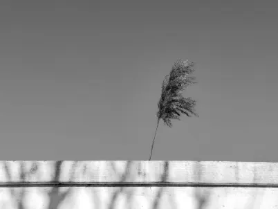 Casino Classy Slots Aplicación móvil